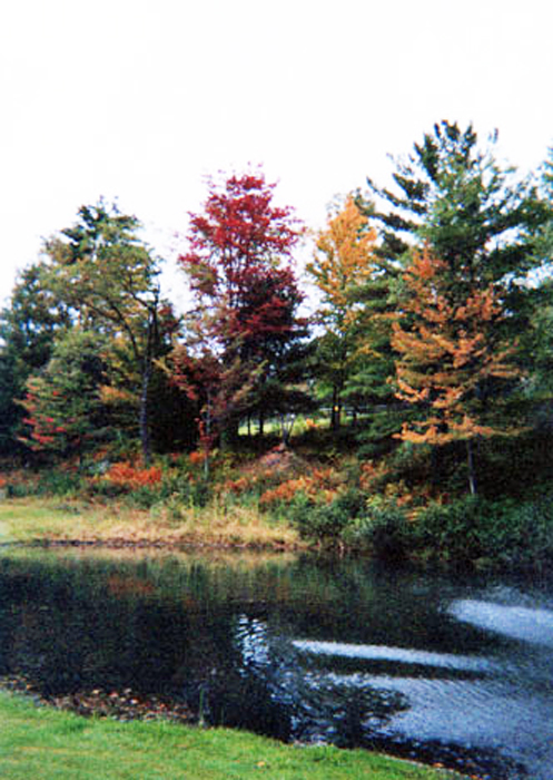 fall colors in Vermont 2000