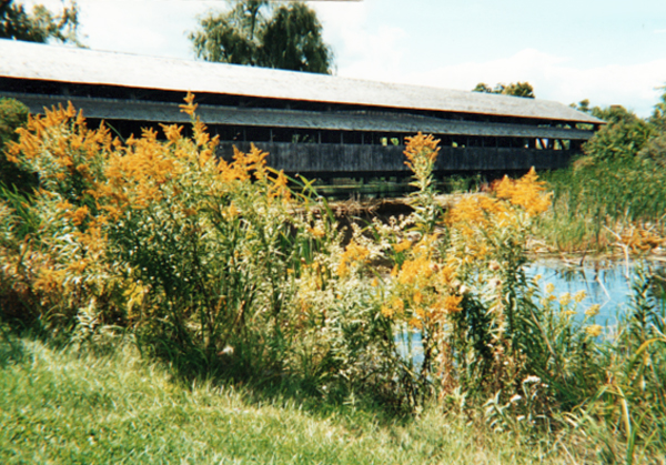 The Shelburne Covered Bridge