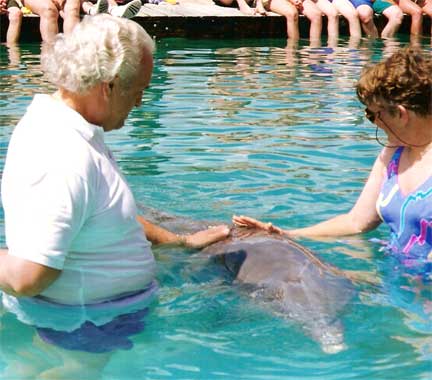 Lee Duquette touching a dolphin