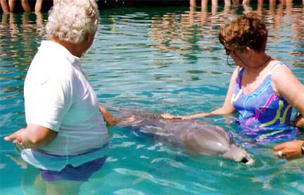 Lee Duquette touching a dolphin