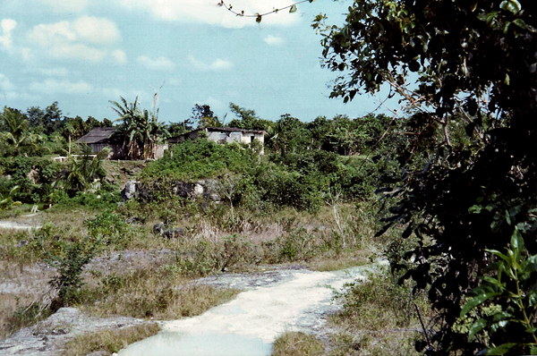 road and houses