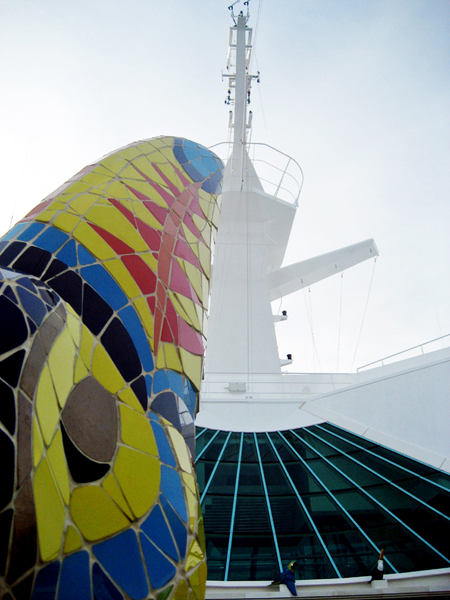 bird and top of ship