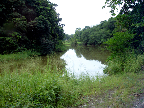 part of TheTortugero Canals 