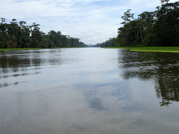 part of TheTortugero Canals 