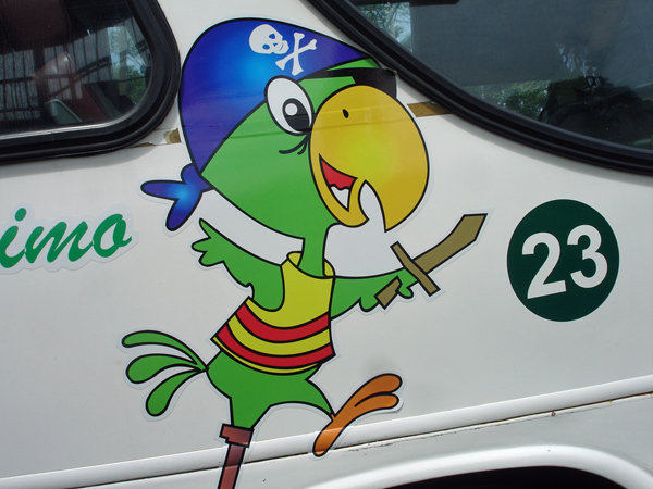 pirate parrot