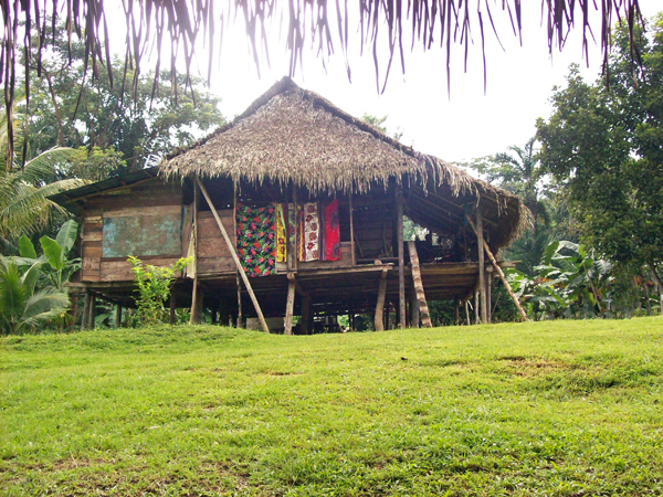 village hut