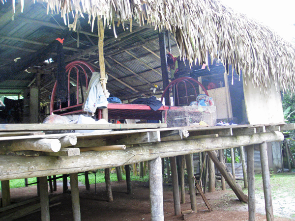 village hut