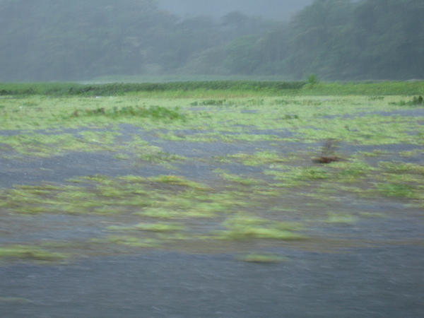 rain and wind