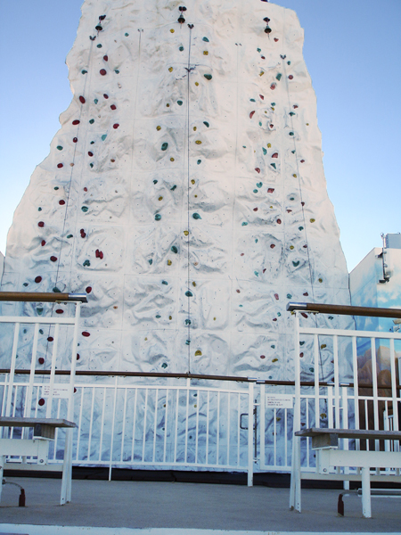 The Rock Climbing Wall