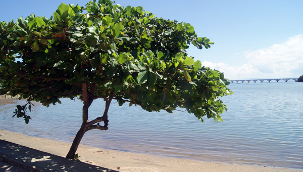 Samana beach scenery