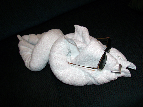 Towel Animal