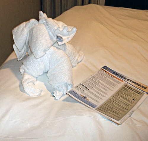 Towel Animal