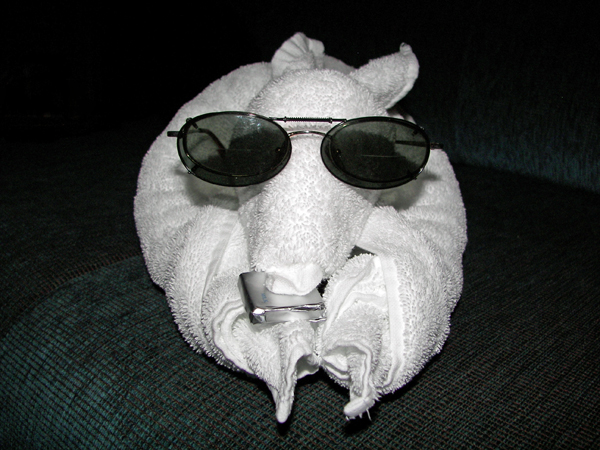 Towel Animal