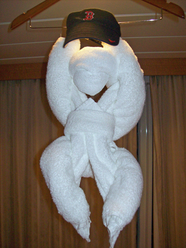 Towel Animal