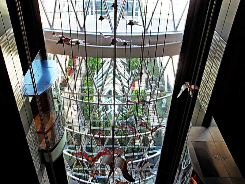 elevator and birds