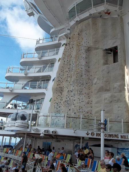 The Rock Climbing Wall