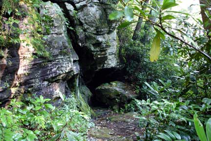 view on the trail