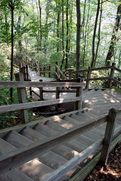 154 wooden steps