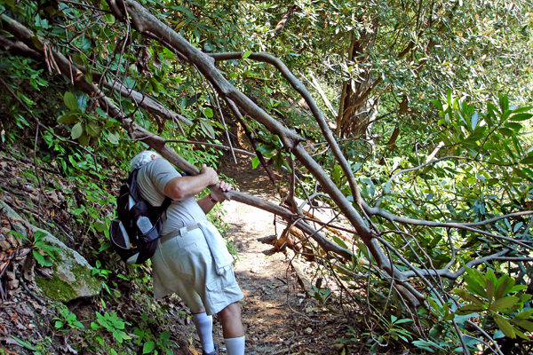 Lee Duquette on the trail to Whitewater Falls