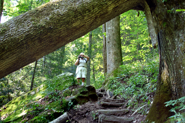 Lee Duquette on the trail down to the lower Whitewater Falls.