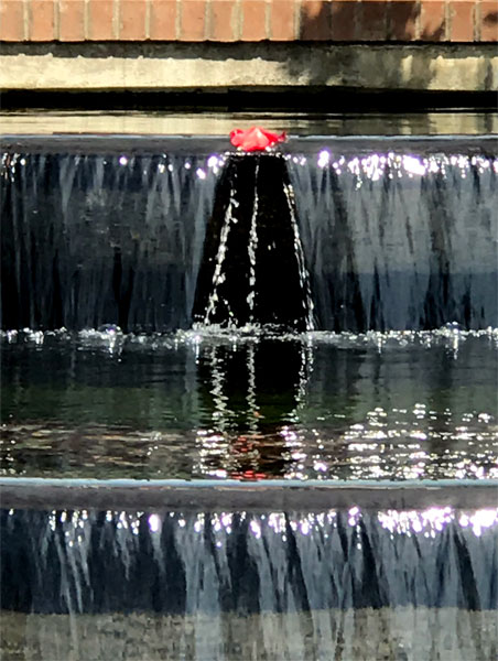 flower in the fountain