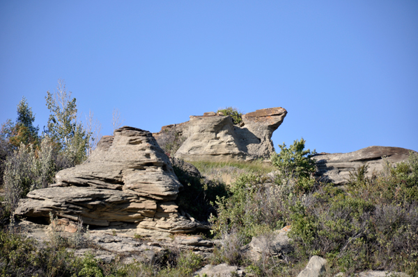 camel rock