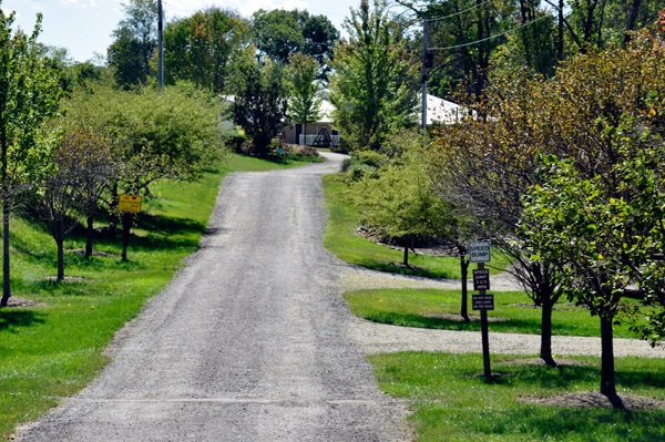 road leading into Arrowhead Campground