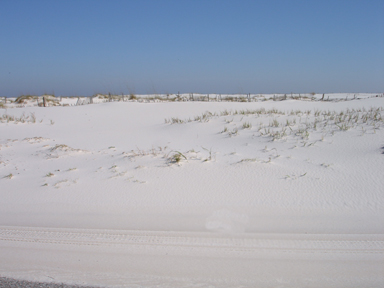 white sand dune