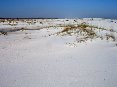 white sand dune