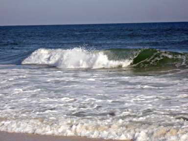 the Gulf of Mexico