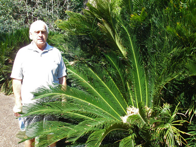 Lee and a big fern