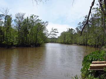 muddy river