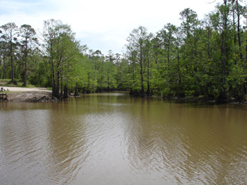 muddy river