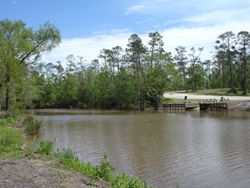 Turtle Bayou