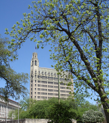 building outside the Alamo