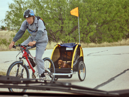 a doggie gets a bicycle ride