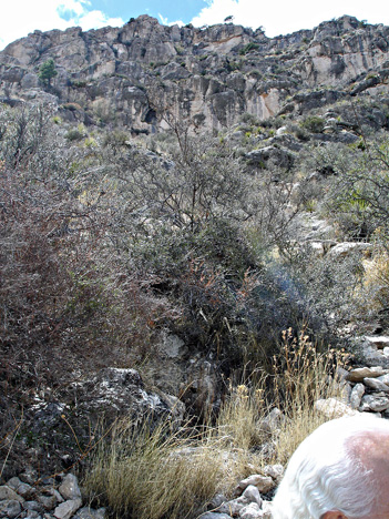 Guadalupe Mountain