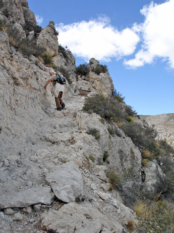 Lee hanging on as he goes higher