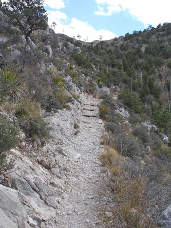 the hiking trail