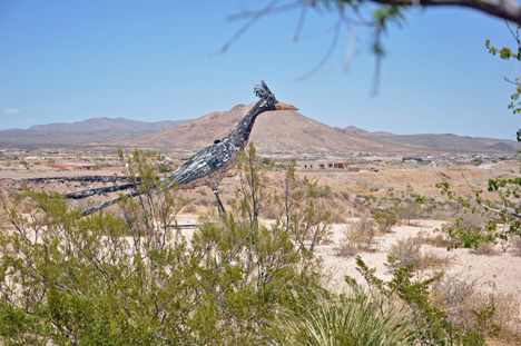 Las Cruces' giant roadrunner 