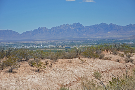 Organ Mountains