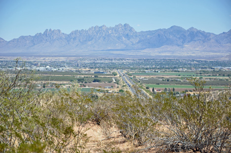 Organ Mountains