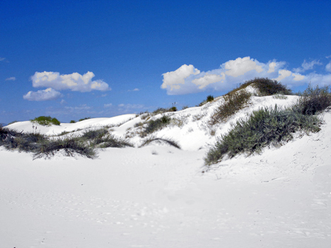 white sand dunes