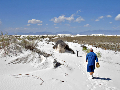 Jerry in the sand