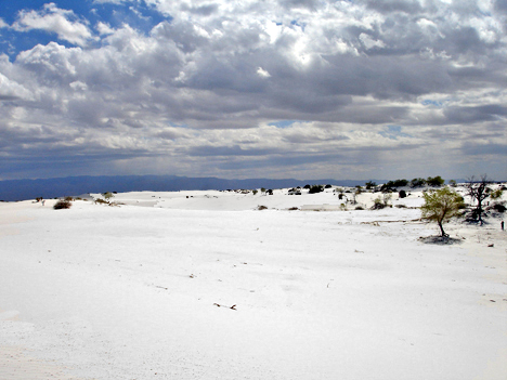 white sand dunes