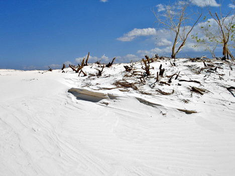 white sand dunes