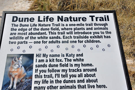 sign - Dune Life Nature Trail