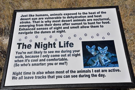 sign about night critters