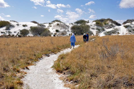 the path to the dunes