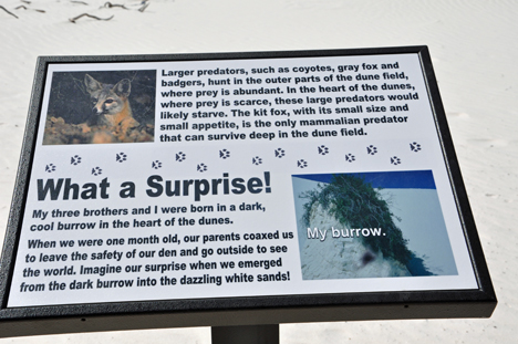 sign about large predators